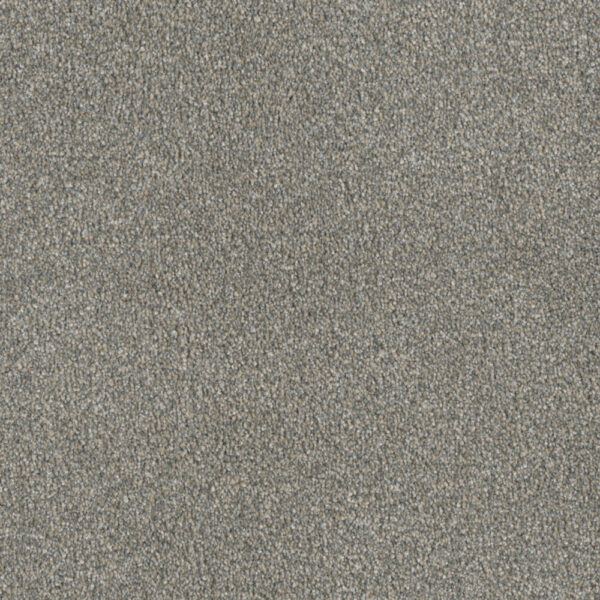 Dreamweaver Carpet Luxor II Sandy Trail Carpet 7750_495
