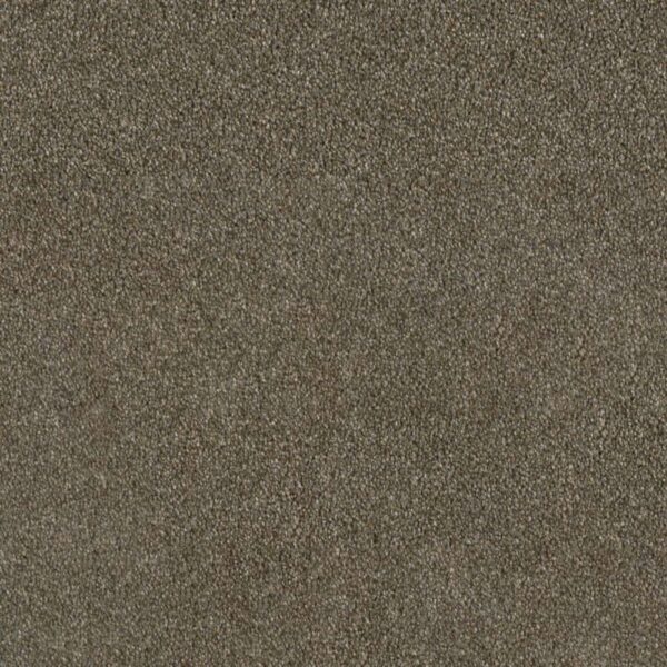 Dreamweaver Carpet Luxor II Cinnamon Tea Carpet 7750_528