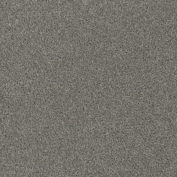 Dreamweaver Carpet Luxor III Looking Glass Carpet 7760_570
