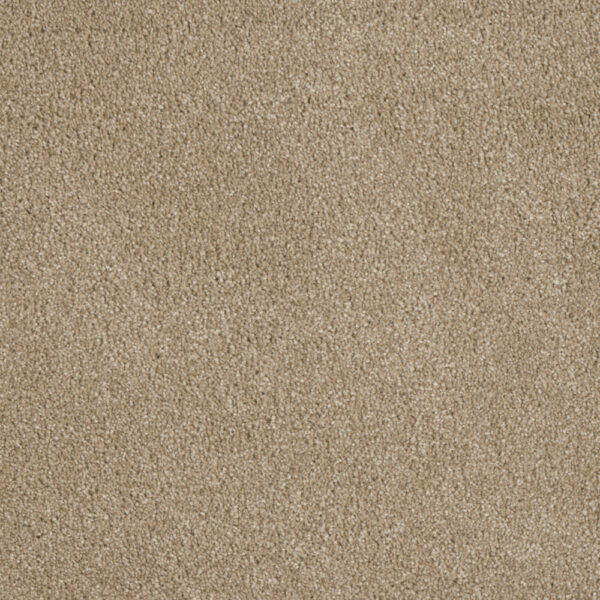 Dreamweaver Carpet Luxor II Cashmere Carpet 7750_580