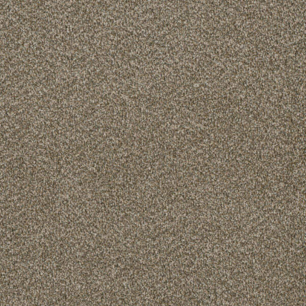 Dreamweaver Carpet Luxor II Sienna Sand Carpet 7750_680