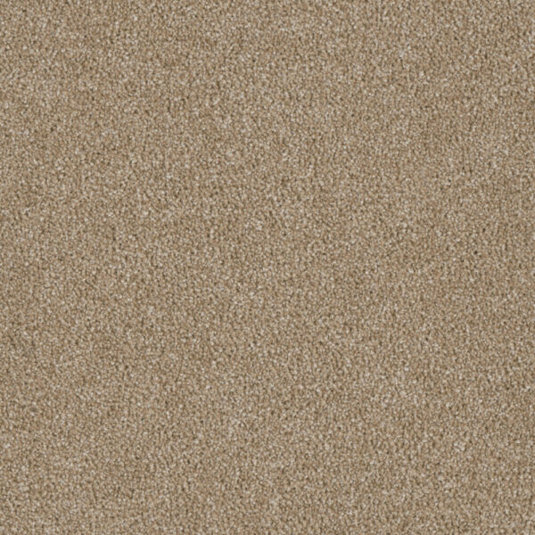 Dreamweaver Carpet Luxor II Sawgrass Carpet 7750_701