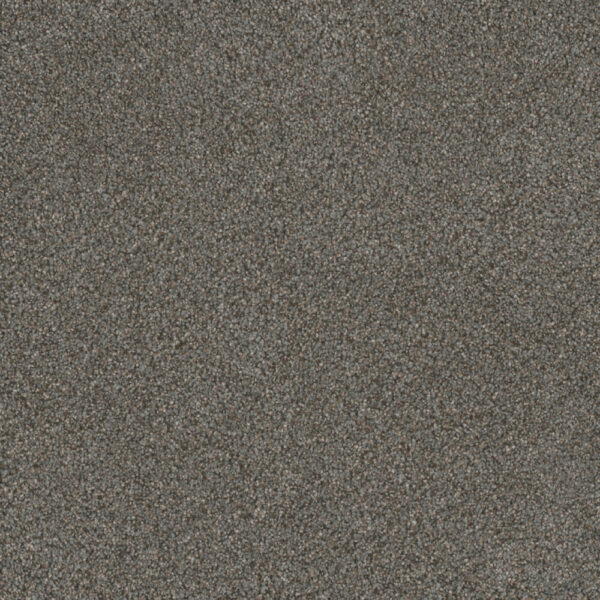 Dreamweaver Carpet Monte Carlo III Meadow Dance Carpet 8200_6049