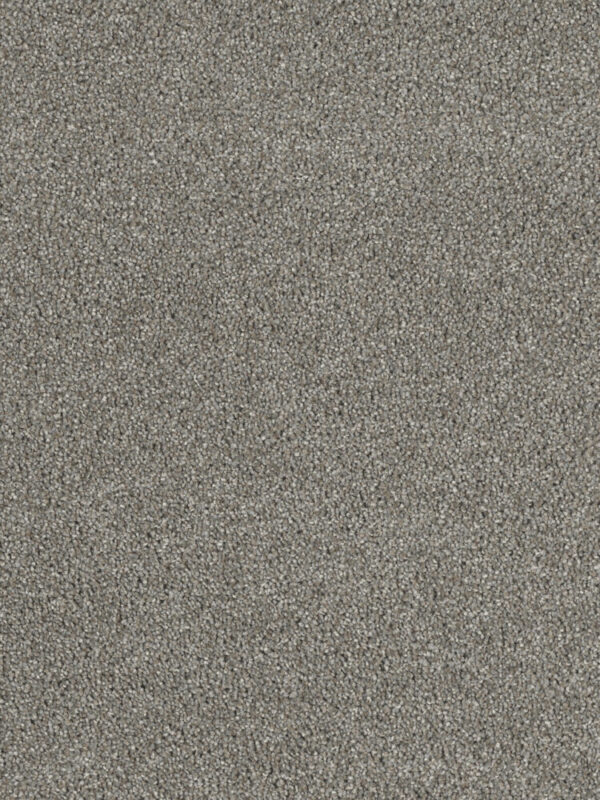 Dreamweaver Carpet Hollywood Havana Carpet 8232_330