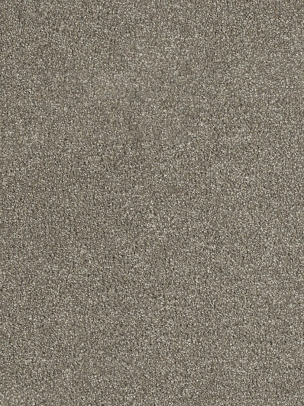 Dreamweaver Carpet Hollywood Cinnamon Tea Carpet 8232_528