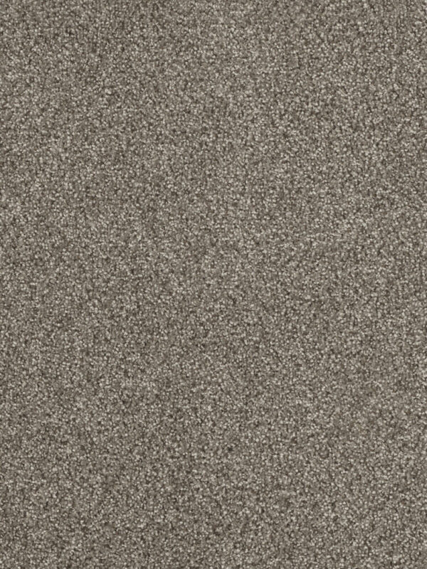 Dreamweaver Carpet Hollywood Baltic Birch Carpet 8232_622