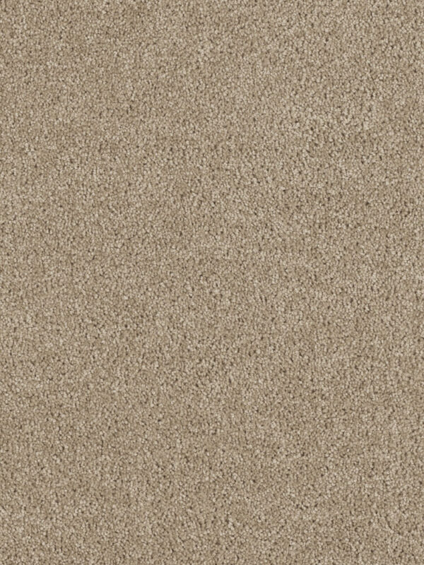 Dreamweaver Carpet Hollywood Warm Teak Carpet 8232_784