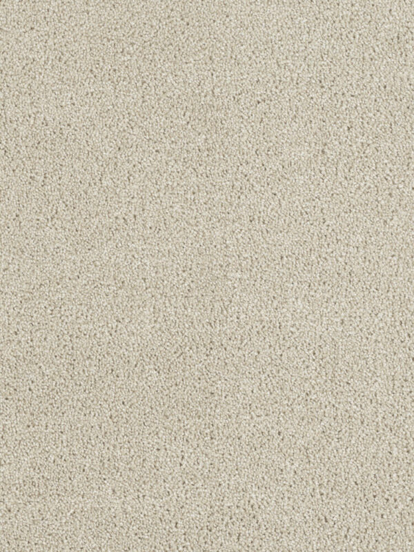 Dreamweaver Carpet Hollywood Dusk Carpet 8232_820