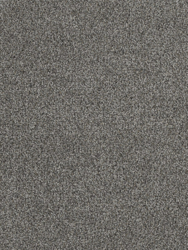 Dreamweaver Carpet Hollywood Pavilion Carpet 8232_958