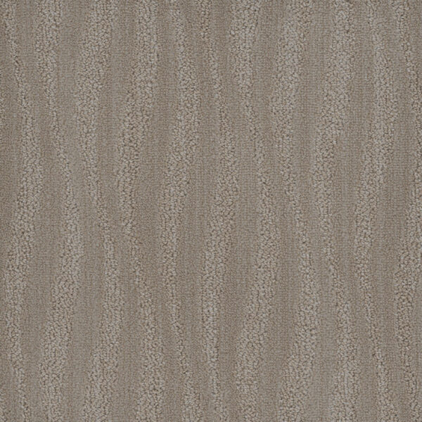 Dreamweaver Carpet DW Select Mojave River Lagan Carpet 8250_3912