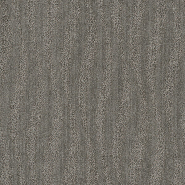 Dreamweaver Carpet DW Select Mojave Boardwalk Carpet 8250_3959