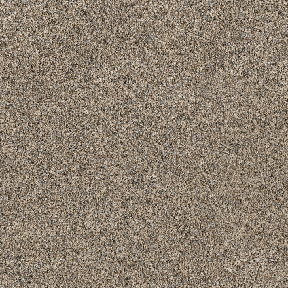 Dreamweaver Carpet Parade Morning Dew Carpet 8265_508
