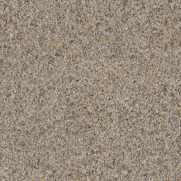 Dreamweaver Carpet Parade Pearl Stone Carpet 8265_632
