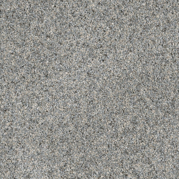 Dreamweaver Carpet Parade Nordic Mist Carpet 8265_837