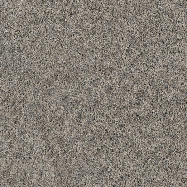 Dreamweaver Carpet Parade Valley Haze Carpet 8265_928