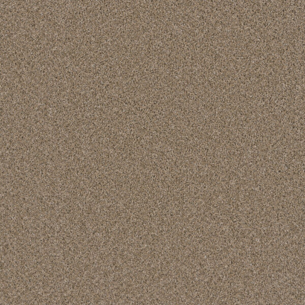 Dreamweaver Carpet Metropolitan II Straw Carpet 8400_551