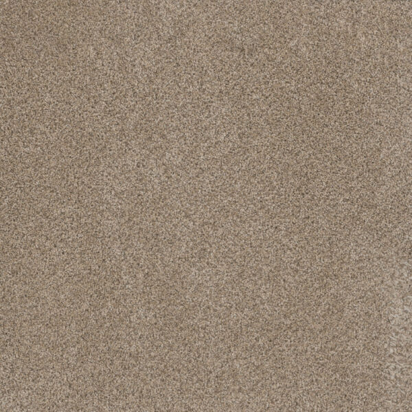 Dreamweaver Carpet Metropolitan II Oxford Carpet 8400_720