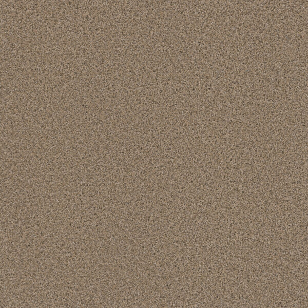 Dreamweaver Carpet Metropolitan II Ginger Carpet 8400_726