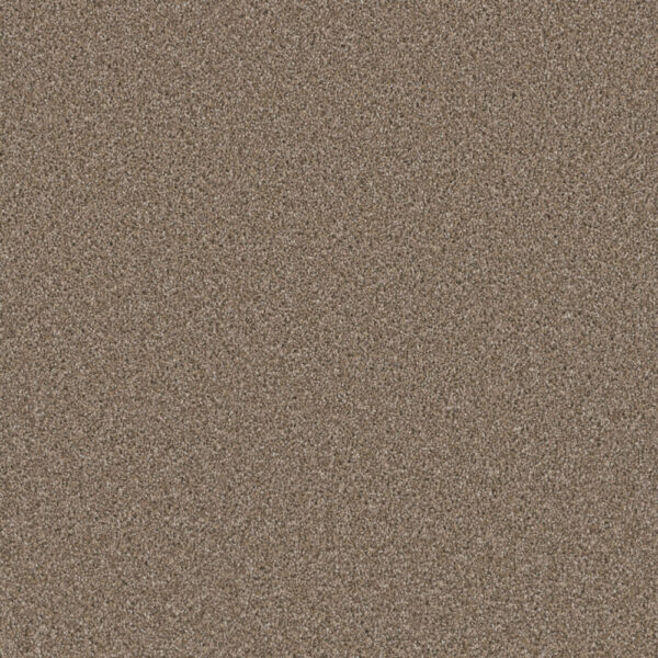 Dreamweaver Carpet Metropolitan II Tumbleweed Carpet 8400_883