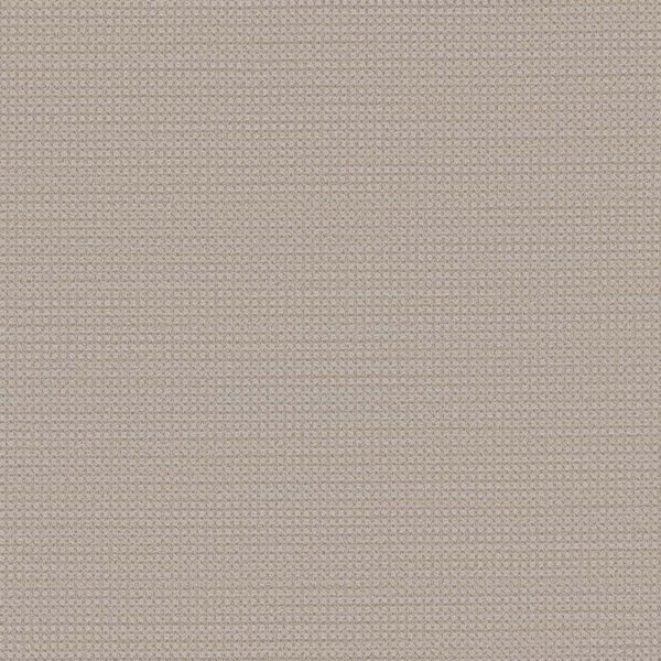 Dreamweaver Carpet DW Select Montreal Bonavista Carpet 8448_8315