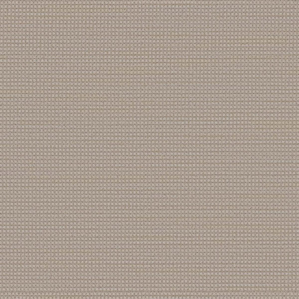 Dreamweaver Carpet DW Select Montreal Lion's Bay Carpet 8448_8454