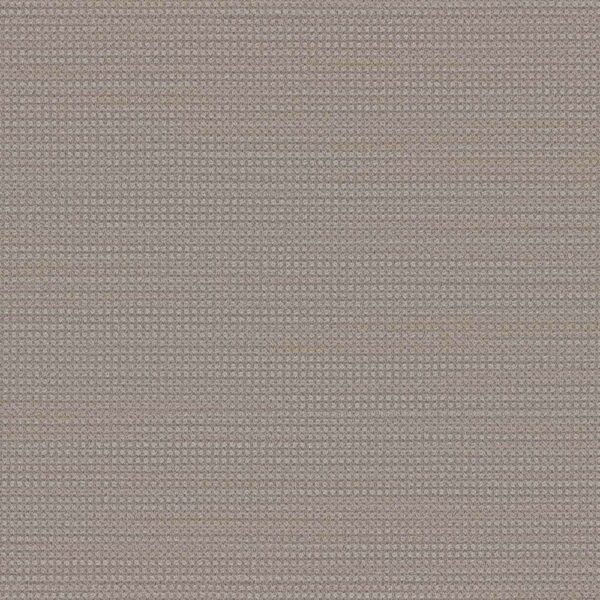 Dreamweaver Carpet DW Select Montreal Shellbrook Carpet 8448_8580