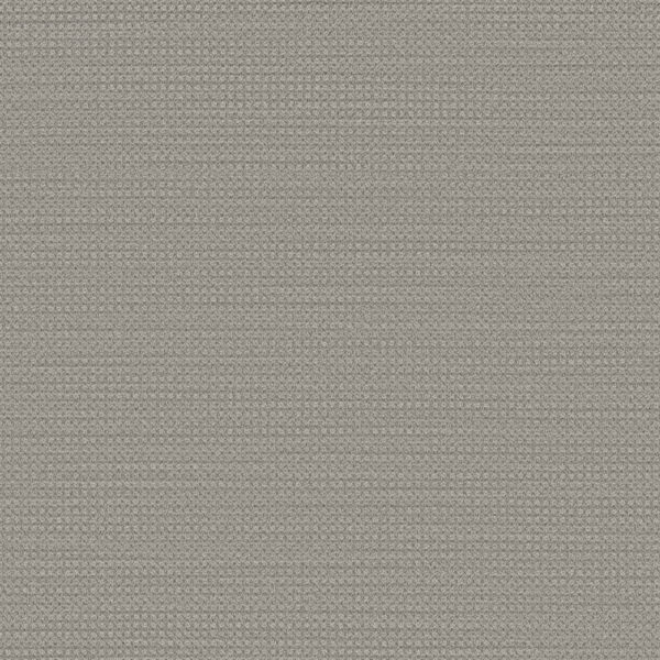 Dreamweaver Carpet DW Select Montreal Mount Pearl Carpet 8448_8624