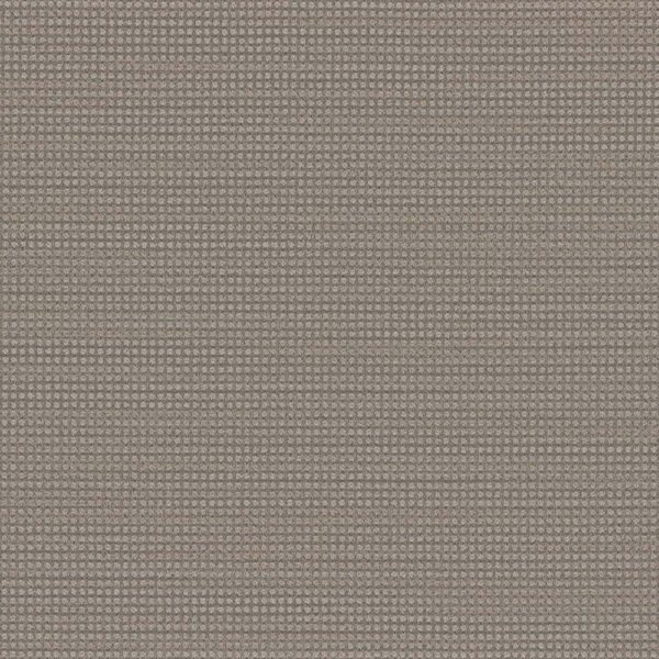Dreamweaver Carpet DW Select Montreal Willowdale Carpet 8448_8670