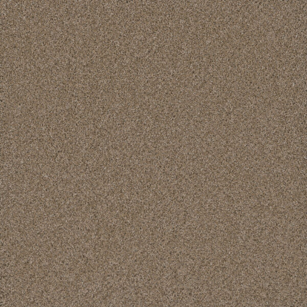 Dreamweaver Carpet Cosmopolitan II Straw Carpet 8550_551