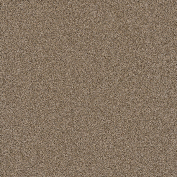 Dreamweaver Carpet Cosmopolitan II Ginger Carpet 8550_726