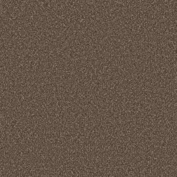 Dreamweaver Carpet Cosmopolitan II Wynwood Carpet 8550_874