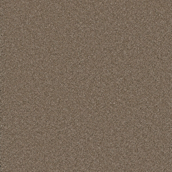 Dreamweaver Carpet Cosmopolitan II Tumbleweed Carpet 8550_883