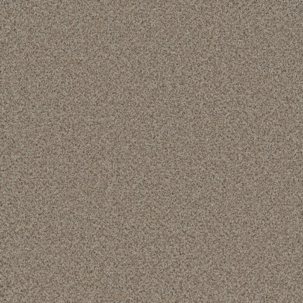 Dreamweaver Carpet Cosmopolitan II Stucco Carpet 8550_905