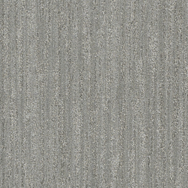 Dreamweaver Carpet DW Select Redwood Silver Fir Carpet 8638_2706