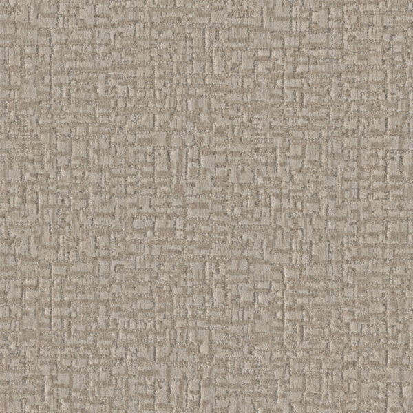 Dreamweaver Carpet River Street Columbia Carpet 8900_8000