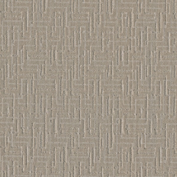 Dreamweaver Carpet Manuscript Ellis Carpet 8905_8049