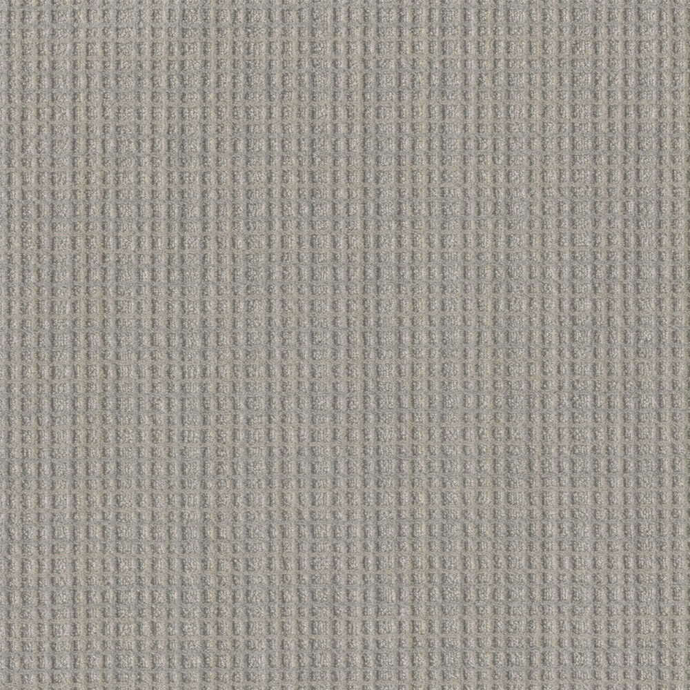 Dreamweaver Carpet Suffolk Johnson Carpet 8910_8150
