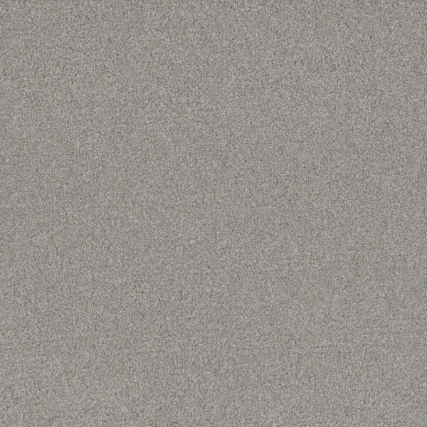 Dreamweaver Carpet All In I Fairway Carpet 9555_2008