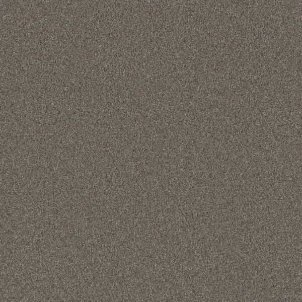 Dreamweaver Carpet All In I Briarcrest Carpet 9555_2038