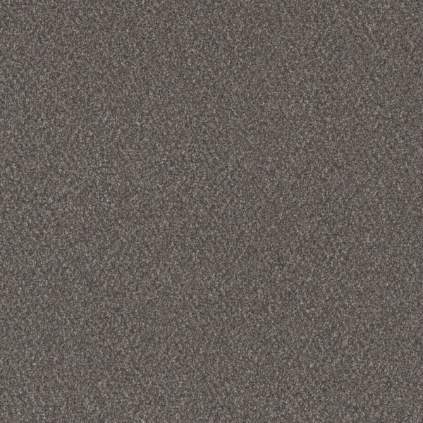 Dreamweaver Carpet All In I Kodiak Carpet 9555_2052