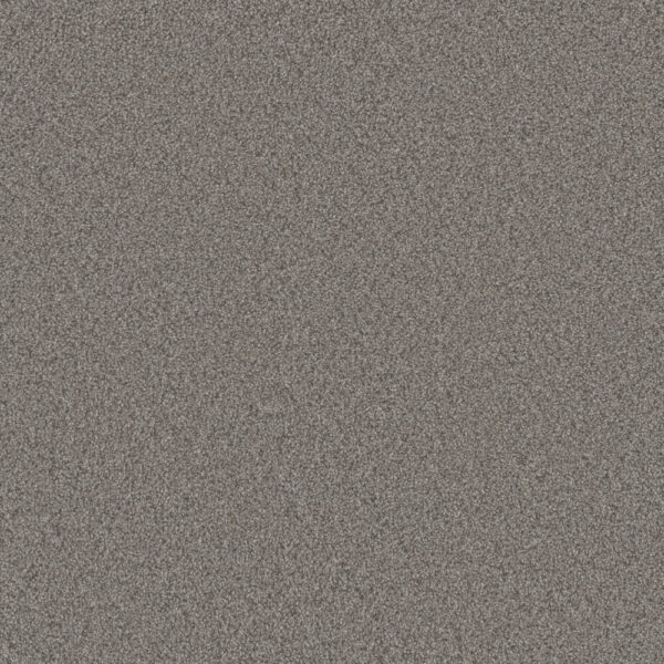Dreamweaver Carpet All In I Fall River Carpet 9555_2073