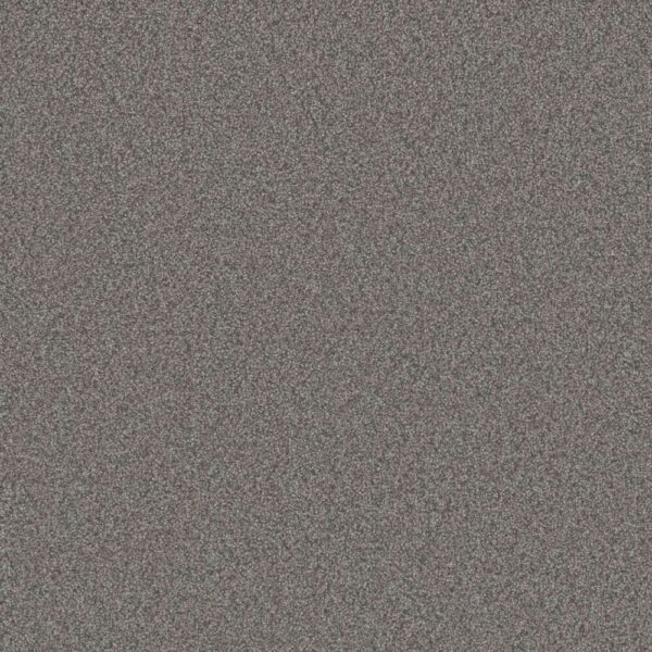 Dreamweaver Carpet All In I Cannon Falls Carpet 9555_2076