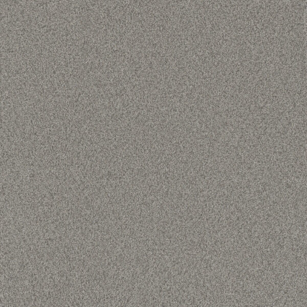 Dreamweaver Carpet All In I Castle Pines Carpet 9555_4050