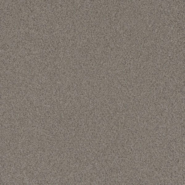 Dreamweaver Carpet All In I Fox Chase Carpet 9555_4122