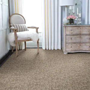 Stanton Carpet Aspire Collection