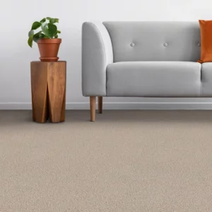 Dreamweaver Carpet