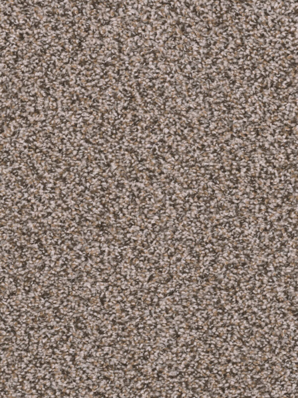 Dreamweaver Carpet Sweepstakes Gingerbread Carpet 2200_390