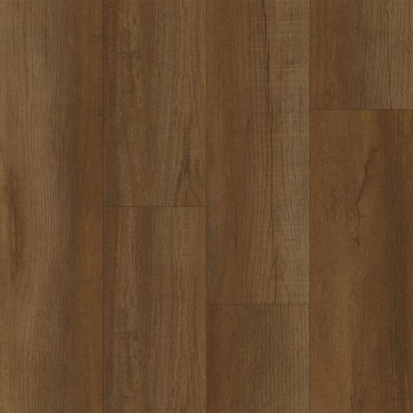 Happy Feet black Label Collection Perseverance HF921 Cedar