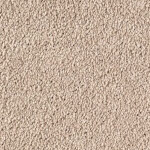 Karastan Infinite Touch Kashmere Carpet Sedona 9819