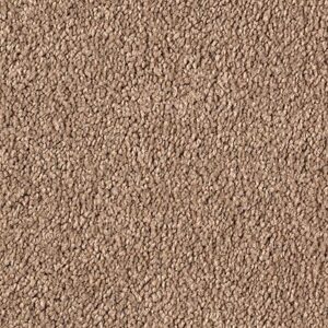 Karastan Infinite Touch Kashmere Carpet Tempting Taupe 9839